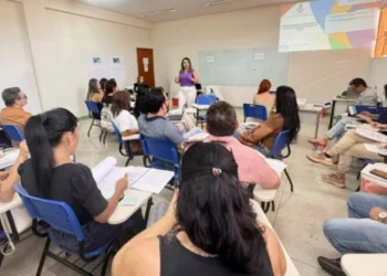 Profissionais da educação discutem metas e estratégias para o novo Plano Estadual de Educação do Tocantins - Foto: Nilson Chaves/Governo do Tocantins