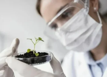 Avanço do setor está ligado ao investimento em pesquisa e inovação — Foto: Freepik