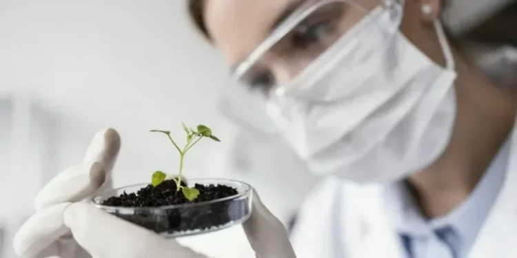 Avanço do setor está ligado ao investimento em pesquisa e inovação — Foto: Freepik