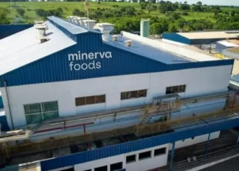 Minerva espera ter crescimento orgânico de 10% em 2026 — Foto: Mierva Foods