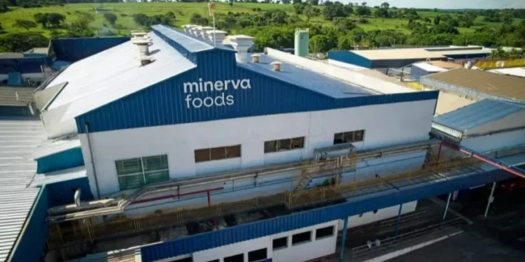 Minerva espera ter crescimento orgânico de 10% em 2026 — Foto: Mierva Foods