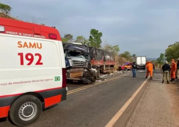 Acidente entre caminhões na TO-010 — Foto: Matheus Dias/TV Anhanguera