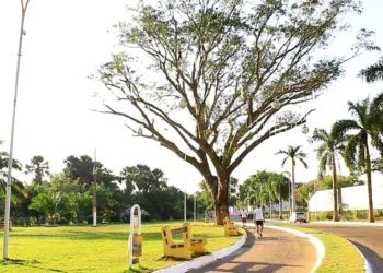 Em Gurupi, o evento ocorrerá a partir das 5h30, no Parque Mutuca – Foto: Prefeitura de Gurupi