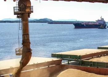 No mês passado, embarques de soja em grão aumentaram 16,2% em volume e 11% em relação ante agosto de 2024 — Foto: Claudio Neves/Portos do Paraná