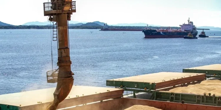 No mês passado, embarques de soja em grão aumentaram 16,2% em volume e 11% em relação ante agosto de 2024 — Foto: Claudio Neves/Portos do Paraná