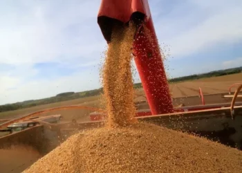 Área técnica do Mapa alerta para efeitos do fim da moratória da soja