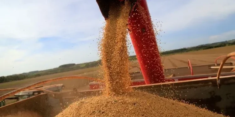 Área técnica do Mapa alerta para efeitos do fim da moratória da soja