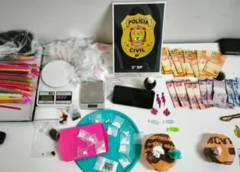 Tráfico com brindes 3D: advogada e marido são presos no DF