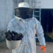 Guarda Metropolitana Ambiental remove colméia de abelhas em residência na zona rural de Palmas