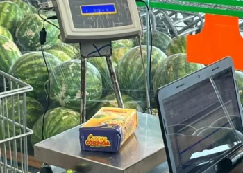 Fotos: Brenda Ramos/Governo do Tocantins