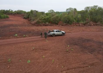 Ação da Operação Protetor dos Biomas, em Palmeiras do Tocantins. - Foto: Ascom BPMA