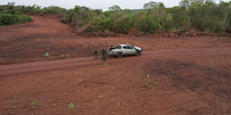 Ação da Operação Protetor dos Biomas, em Palmeiras do Tocantins. - Foto: Ascom BPMA