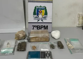 Material apreendido - Foto: Ascom 7º BPM