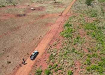 Ação da Operação Protetor dos Biomas resultou em multa de mais de meio milhão de reais ao proprietário rural em Palmeiras do Tocantins. - Foto: Ascom BPMA