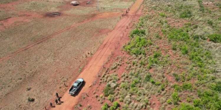 Ação da Operação Protetor dos Biomas resultou em multa de mais de meio milhão de reais ao proprietário rural em Palmeiras do Tocantins. - Foto: Ascom BPMA
