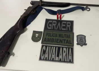 Arma apreendida - Foto: Ascom PMTO