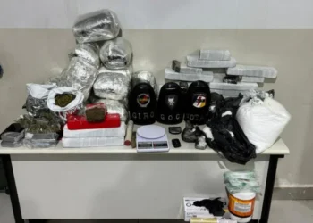 Material apreendido - Foto: Ascom PMTO