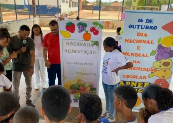 A atividade estimulou a pesquisa, a criatividade e a reflexão crítica sobre as próprias escolhas alimentares - Foto: Seduc/Governo do Tocantins