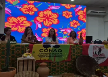 Convidada pelo MEC, Karoline participou das discussões que integram a implementação e o fortalecimento da Política Nacional de Equidade, Educação para as Relações Étnico-Raciais e Educação Escolar Quilombola em todo o país - Foto: Seduc/Governo do Tocantins