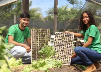 O Pronacampo é considerado um marco na construção democrática de políticas públicas voltadas à educação do campo - Foto: Eziel Araújo/Governo do Tocantins
