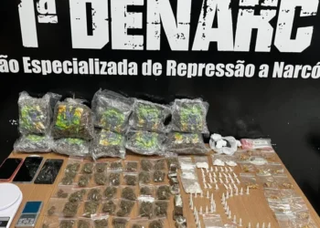 Ação levou a apreensão de drogas em Palmas - Divulgação PCTO