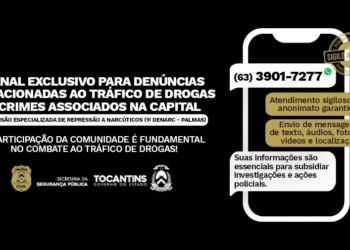 O canal permite o envio de informações e dados sobre movimentações suspeitas - Foto: Divulgação SSP/TO