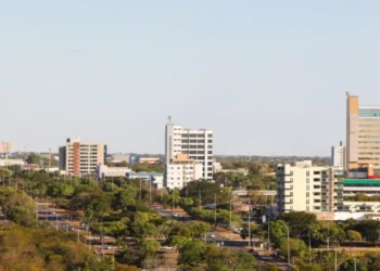 Desconto no valor da multa ambiental pode chegar a até 60_ – Foto Regiane Rocha