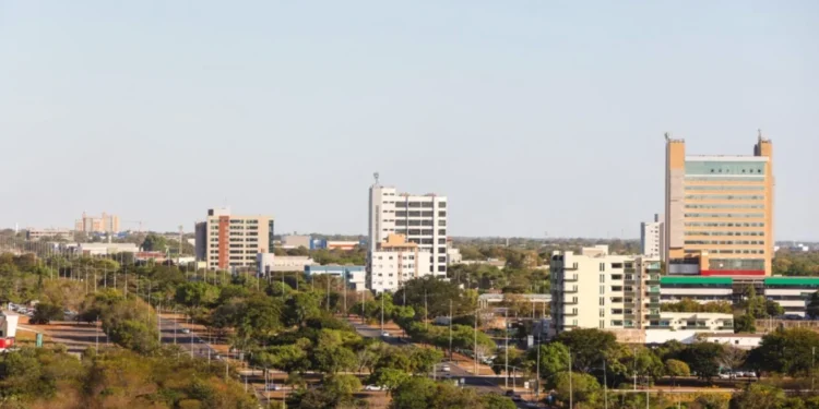 Programa de conversão de multas ambientais da Prefeitura de Palmas permite transformar valores em ações concretas de cuidado com a natureza