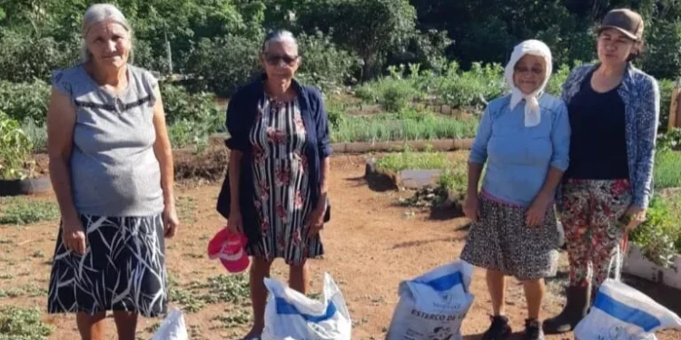 Prefeitura de Palmas reforça produção nas hortas comunitárias com entrega de insumos agrícolas