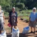 Prefeitura de Palmas reforça produção nas hortas comunitárias com entrega de insumos agrícolas