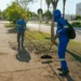 Prefeitura intensifica tapa-buracos e amplia ações de limpeza e manutenção urbana em Taquaralto e no Santa Fé