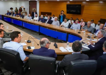 Governo do Tocantins e setor agroprodutivo alinham ajustes de governança do JREDD+ sem pausas no programa - (Crédito foto: Marcio Vieira/Governo do Tocantins)