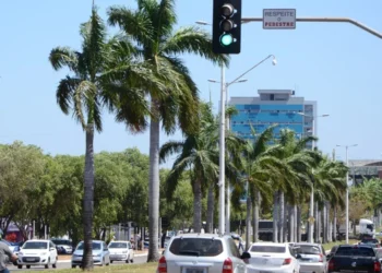 O não pagamento do licenciamento impossibilita o condutor de emitir o CRLV-e, documento indispensável que deve ser renovado todos os anos - Créditos: Felix Carneiro/Governo do Tocantins