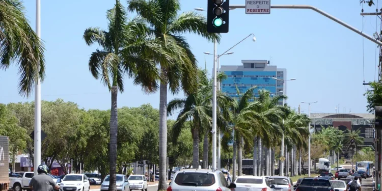 O não pagamento do licenciamento impossibilita o condutor de emitir o CRLV-e, documento indispensável que deve ser renovado todos os anos - Créditos: Felix Carneiro/Governo do Tocantins