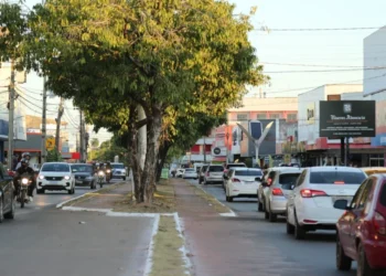 Boleto do licenciamento e o CRLV-e podem ser emitidos de forma online e sem custos adicionais no site do Detran - Foto: Felix Carneiro/Governo do Tocantins