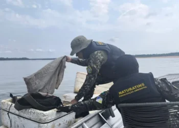 Naturatins promove palestra sobre prevenção de incêndios em escola de Arapoema - Foto: Naturatins/Governo do Tocantins