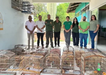 Equipe de fiscalização ambiental do Naturatins realiza entrega de 49 aves silvestres ao Cefau - Foto: Andréa Marques/Governo do Tocantins
