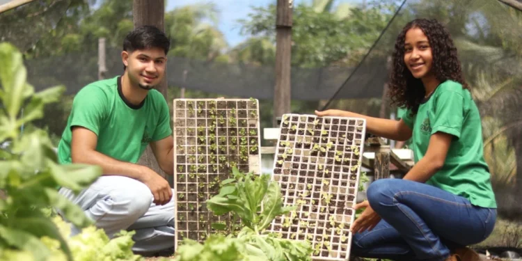 Naturatins inicia programação de celebração da Semana do Servidor Público