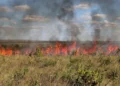 Governo do Tocantins prorroga suspensão das autorizações de queima controlada até 9 de novembro