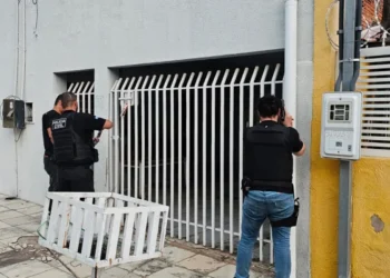 Criminosos anunciavam veículos por valores muito abaixo do mercado para atrair as vítimas - Foto: Divulgação PCTO