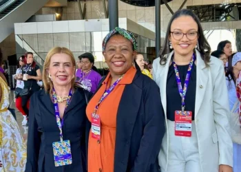 A atuação do Cedim-TO fortalece o protagonismo do Tocantins nas pautas nacionais de gênero, promovendo articulação entre a sociedade civil e o poder público - Foto: Divulgação