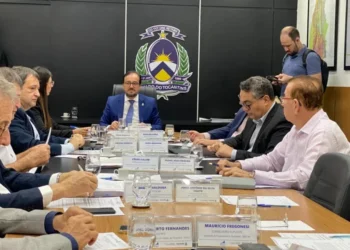 Colegiado tem papel fundamental no desenvolvimento econômico e geração de renda - Foto: Thayná Neiva/Governo do Tocantins