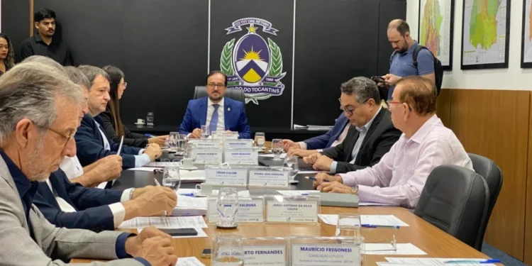 Colegiado tem papel fundamental no desenvolvimento econômico e geração de renda - Foto: Thayná Neiva/Governo do Tocantins
