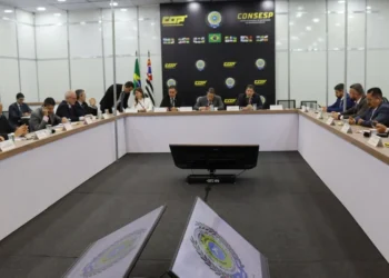 Grupo discute
 medidas para integração de bancos de dados das forças de segurança - João Guilherme Lobasz/Governo do Tocantins