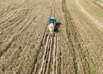 Injetor de dejetos suínos - Foto Lucas Scherer - Embrapa