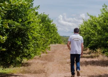 Foto: Keven Lopes-Governo do Tocantins