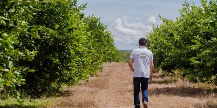Foto: Keven Lopes-Governo do Tocantins
