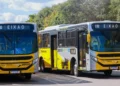 Prefeitura de Palmas disponibiliza linha exclusiva para acesso aos cemitérios no Dia de Finados