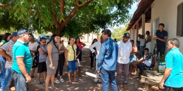 Mais de 20 associados puderam ampliar seus conhecimentos na produção de mandioca