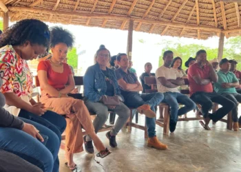 A diretora da Sepot, Ana Cleia (Kika) destacou apoio às comunidades quilombolas para acesso à informação e direitos, de maneira segura e transparente_Foto Divulgação-Sepot/Governo do Tocantins